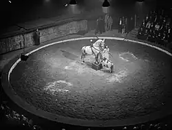 Vorstellung Dezember 1947