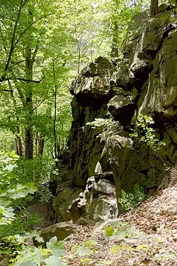 Eingangsfelsen