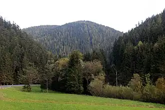 Prinzkogel vom Feistritztal (Westen) aus gesehen