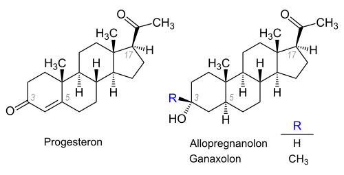 Progesteron, Allopregnanolon, Ganaxolon