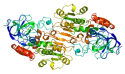 Alkoholdehydrogenase