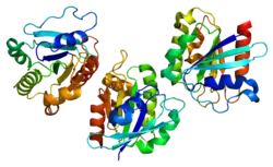 ADP-ribosylation factor-like protein 6