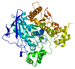 Pseudocholinesterase