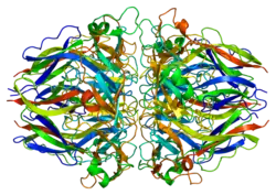 Kollagen Typ IV, alpha 1