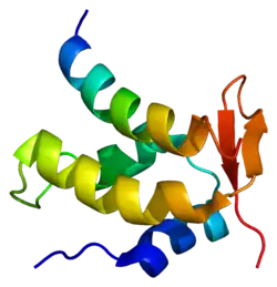 CTD-Phosphatase