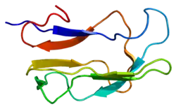 Dihydrolipoyl-Transacylase