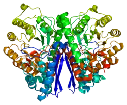 Neuronenspezifische Enolase