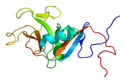 Low affinity immunoglobulin epsilon Fc receptor