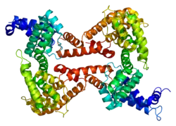Vitamin-D-bindendes Protein