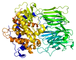 Prolylendopeptidase