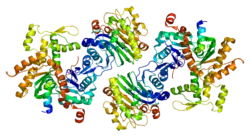 zweites Mitglied der Wiskott-Aldrich-Syndrom-Proteine