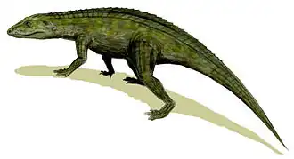 Protosuchus richardsoni