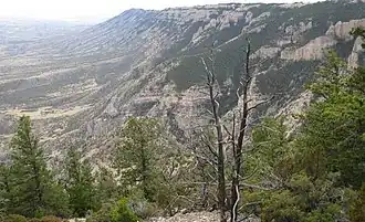 Landschaft in den Pryor Mountains
