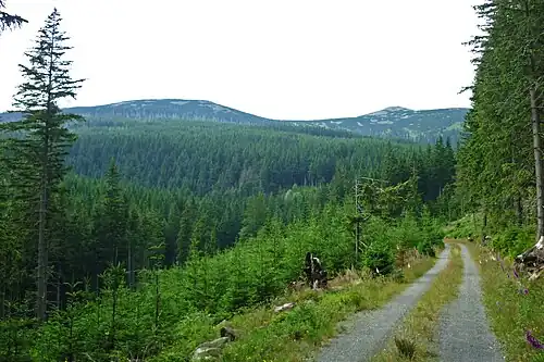 Blick auf die Kleine Sturmhaube aus der Nähe von Podgórzyn (Giersdorf). Daneben das Kleine Rad (links im Bild).