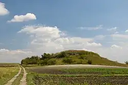 Hügel im Naturreservat Przęślin