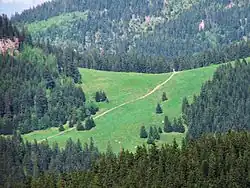 Weg auf der Alm Przysłop Miętusi