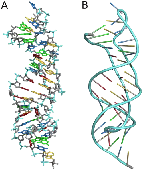 Tertiärstruktur eines Pseudoknotens