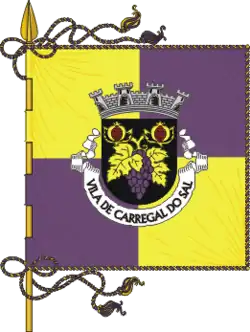 Flagge des Concelhos Carregal do Sal