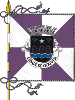 Flagge von Gouveia