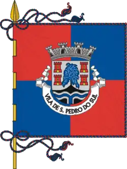 Flagge des Concelhos São Pedro do Sul