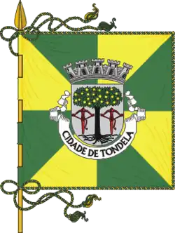 Flagge des Concelhos Tondela