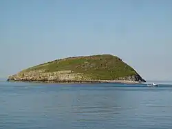 Puffin Island (auch Ynys Seiriol)