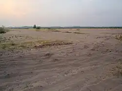 Błędów-Wüste im Landschaftspark Orlich Gniazd