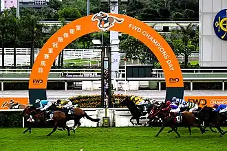 Zieleinlauf Queen Elisabeth II Cup 2024