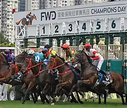 Start zum Queen Elisabeth II Cup 2024