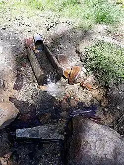 Quelle Waldwiesenbach