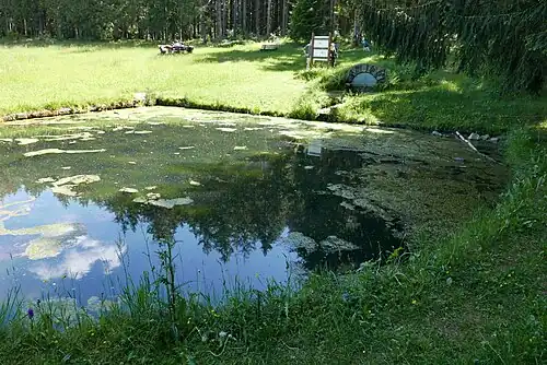 Quellteich der Schutter