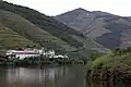 Quinta das Carvalhas am Ufer des Douro