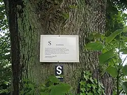 Beschilderung am Nonnenstein