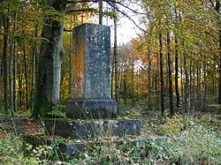 Bei Baierbrunn in Buchenhain