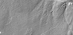 LIDAR Bild des Hochwaldes mit den darin zu erkennenden Übungslagern