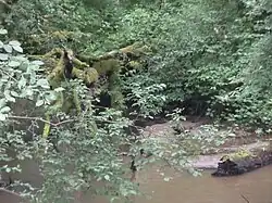 Röthenbach an der Mündung des Haidelbachs