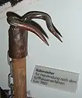 Rübenzieher, auch als Griffel bezeichnet, zur Handrodung von Rüben nach dem Kyffhäuserverfahren (um 1910)