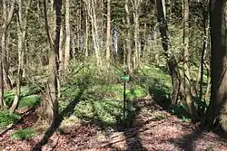 Billequelle bei Linau