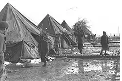 Flüchtlinge aus Jemen (1950)