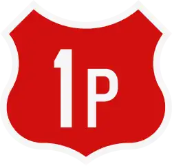 DN1P
