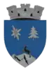 Wappen von Băile Borșa