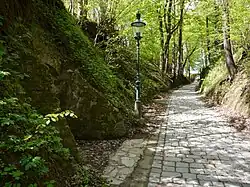 OÖ: Kellergröppe Raab