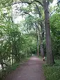 Schlenkerweg auf der Rabeninsel