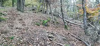 Wallrest der Ringwallanlage südwestlich des Gipfels