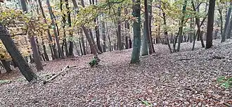 Verschliffener Wall- und Grabenrest südlich des Gipfels