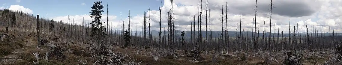 Panorama Ostseite Großer Rachel