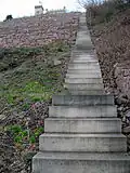 Weinberg Friedensburg, rechte Weinbergstreppe