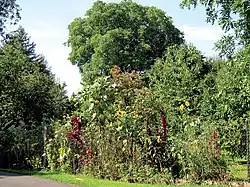 Garten des Zweiseithofs An der Unterführung 5