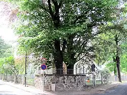 Garten der Mietvilla Heinrich Emil Unger