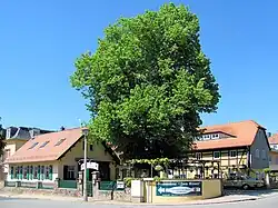 Gaststätte Zum Römer